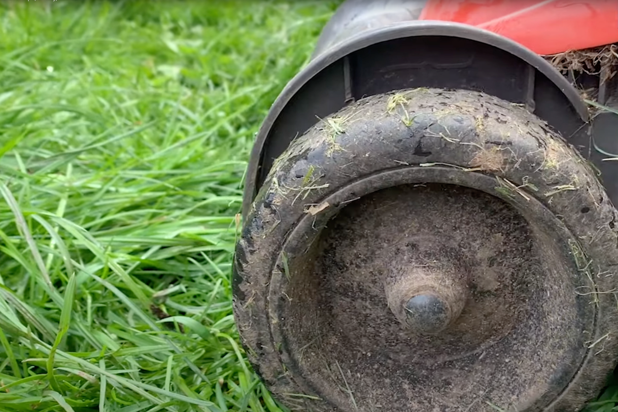 Can You Cut Wet Grass? 