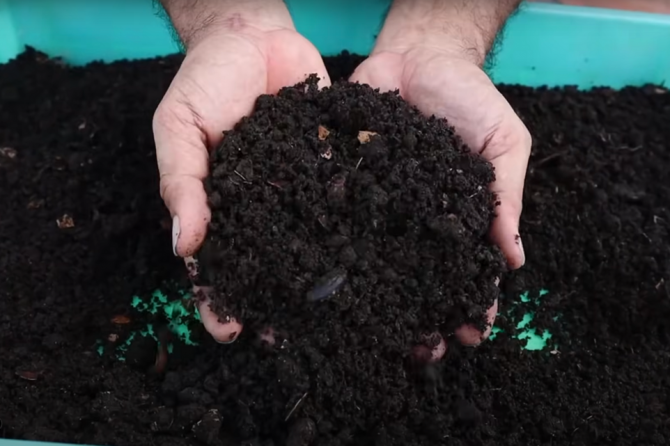 How To Make Compost at Home for Indoor Plants