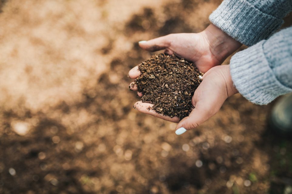 how to make compost at home