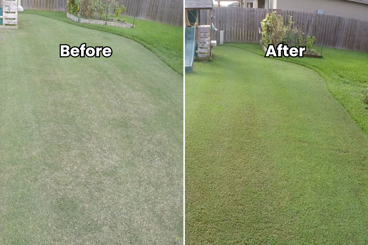 bermuda grass lawn