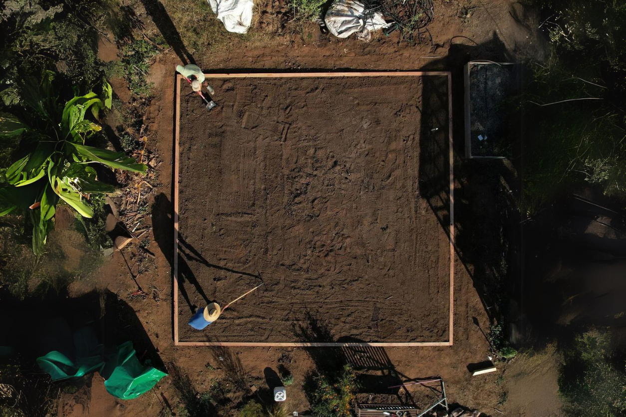 vegetable garden