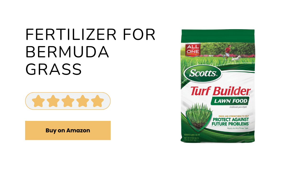 fertilizer for bermuda grass