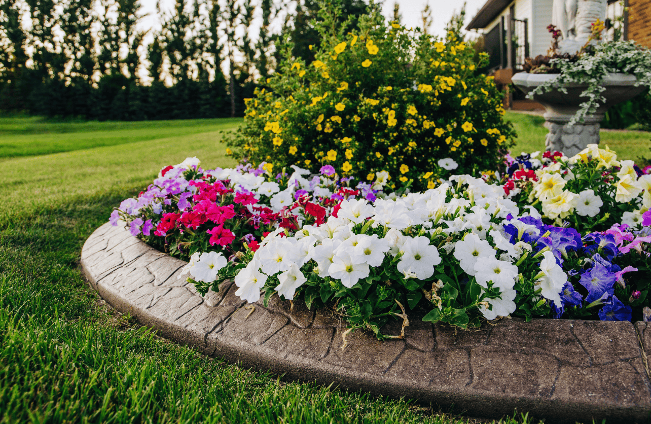 rock flower bed