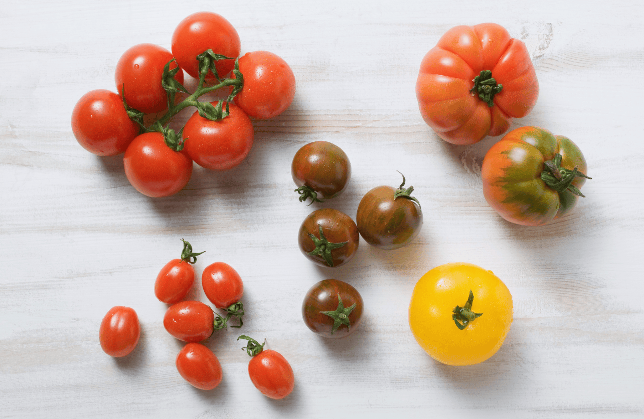 how to prune tomato pants