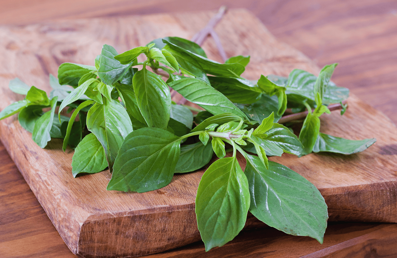 Thai Basil